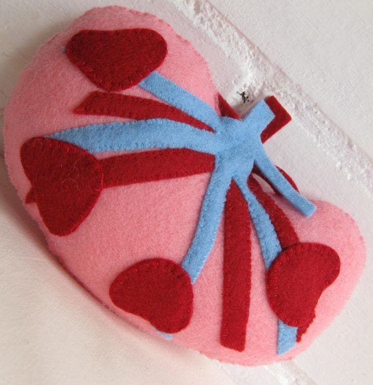 Kidney Plush