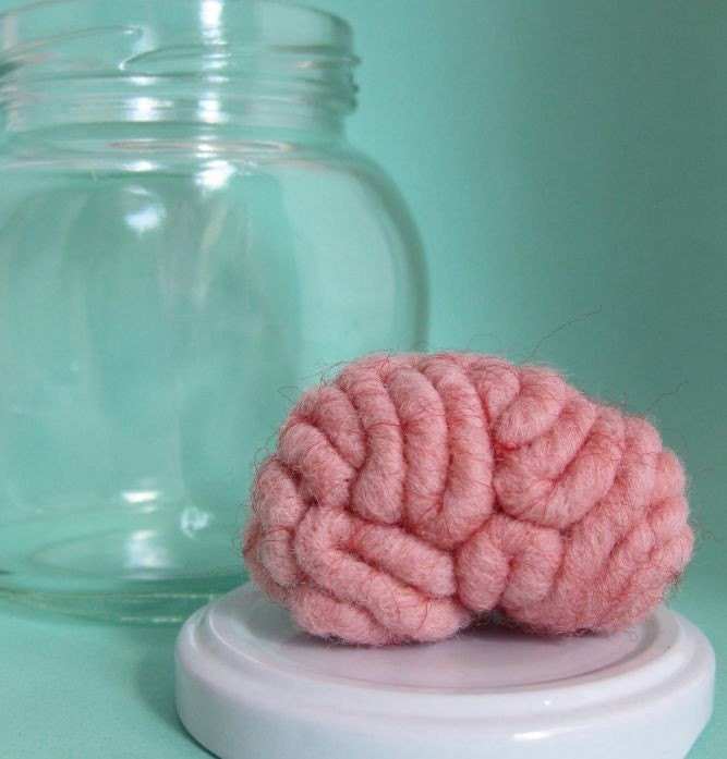 Specimen Jar Brain Anatomical Curio Medium Sized No.2