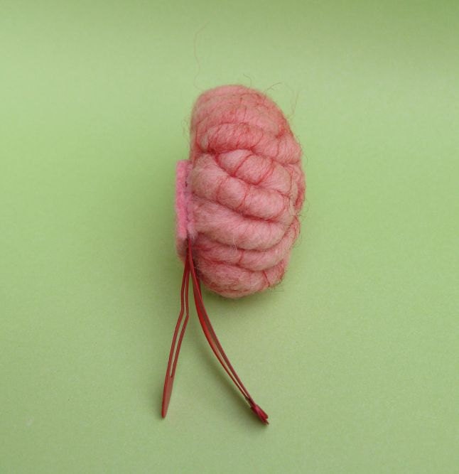 Brain Hair Clip Side View on Red Clip