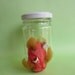 Teratoma Tumor Specimen Jar