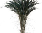 10 Peacock Feather Swords 25-30 inches