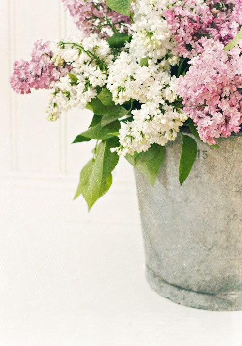 Blooming Bucket (5x7)