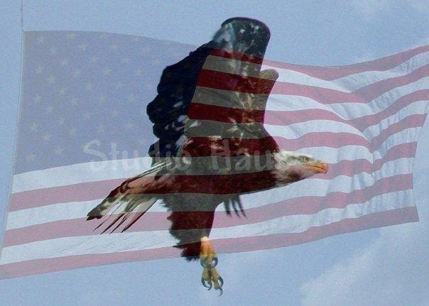 BOGO 50% off - CYBER SALE -- Grasping Freedom - 8x10 - Fine Art Photography Print