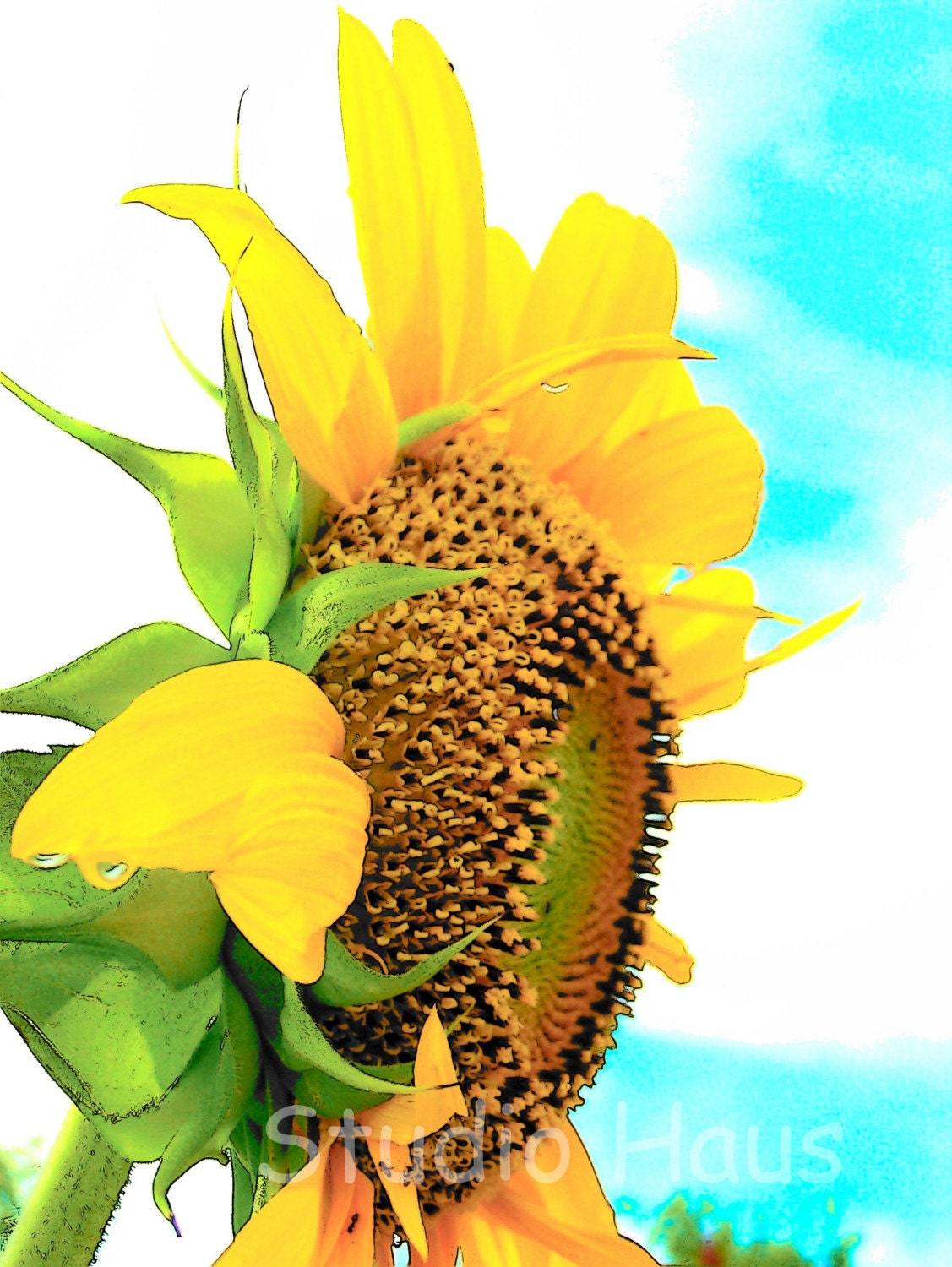 BOGO 50% off -  CYBER SALE -- Inspiration - 5x7 - Fine Art Photography Print