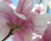 BOGO 50% off -  CYBER SALE -- Softly - 5x7 - Fine Art Photography Print