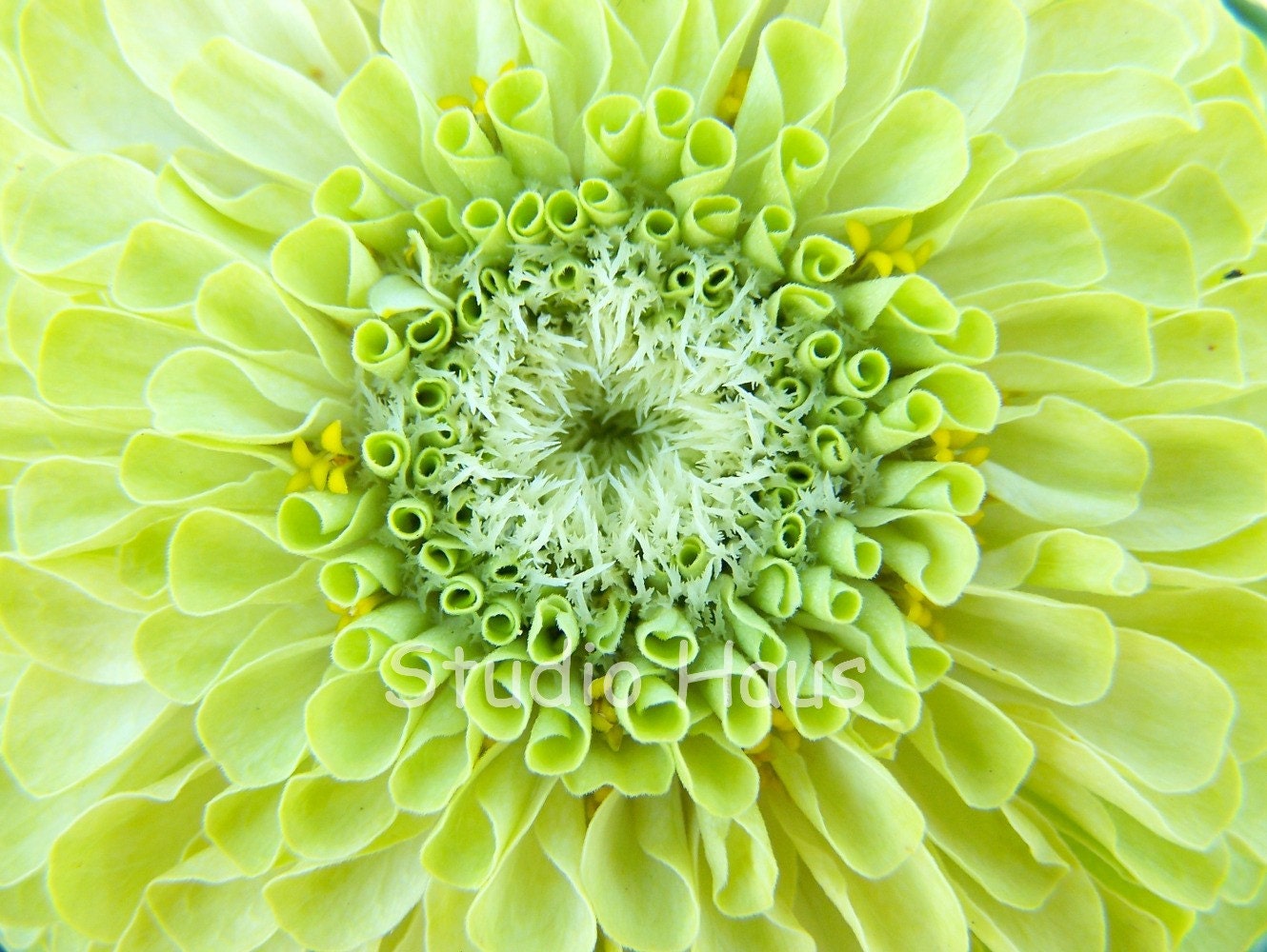 BOGO 50% off -  CYBER SALE -- Renewed - 5x7 - Fine Art Photography Print