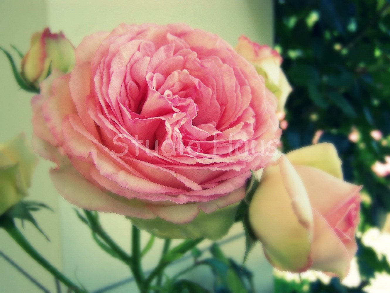 BOGO 50% off -  CYBER SALE -- Dreams of Yesteryear - 5x7 - Fine Art Photography Print