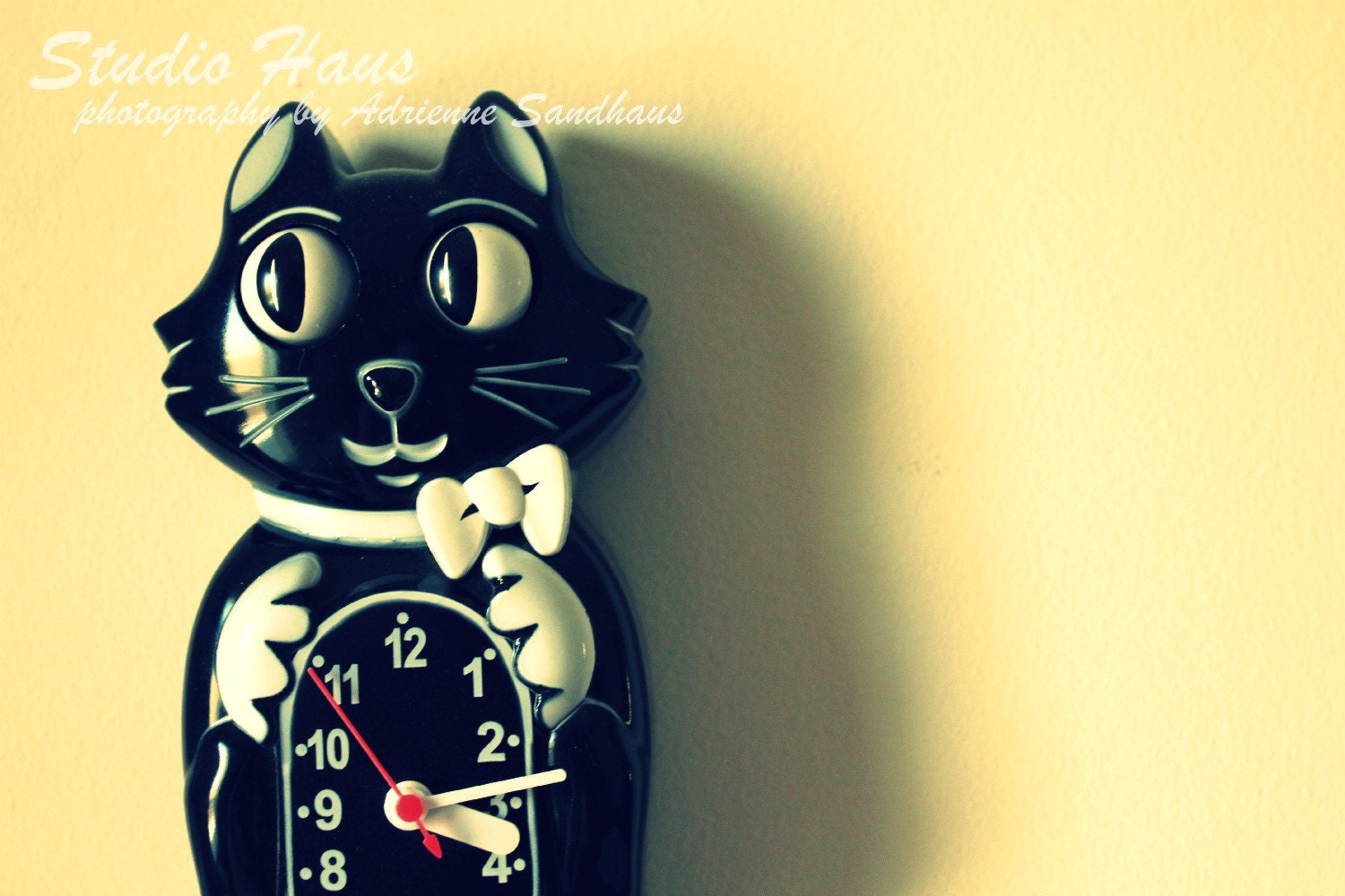 BOGO 50% off -  CYBER SALE -- Mischievous - 5x7 - Fine Art Photography Print