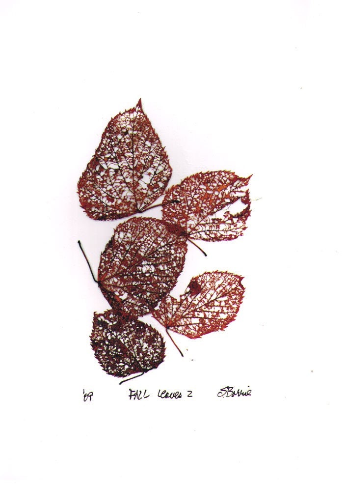 Fall Leaves 2 - Archival Digital Print