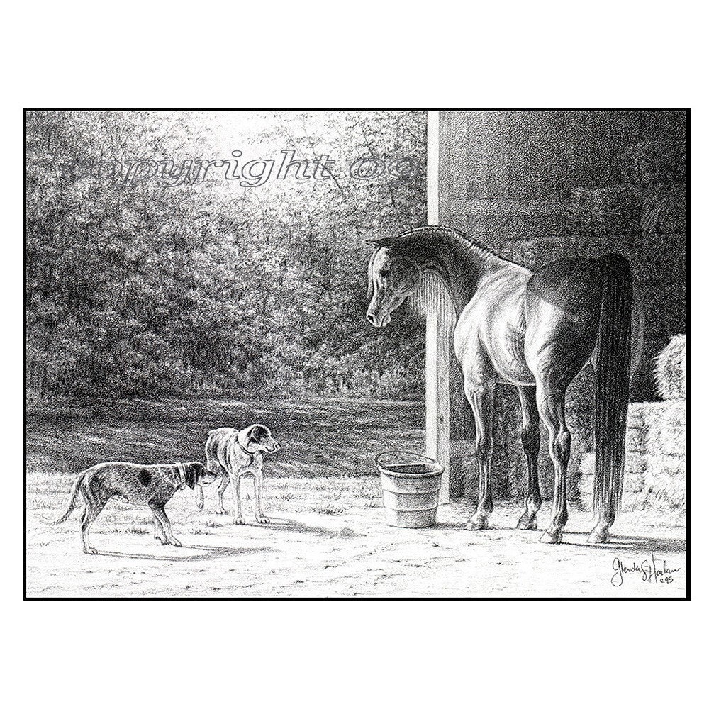 Breakfast Time - Arabian Horse Fine Art Note Cards