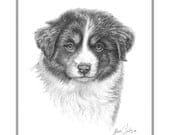 Aussie Pup Dog Fine Art Blank Note Cards
