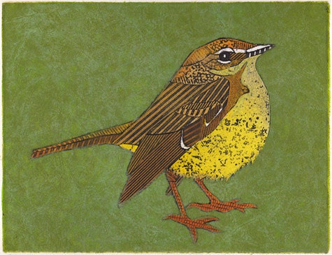 Palm Warbler on Green 4 - Original Hand-Pulled Bird Art Collograph Print