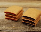 Felt Food Fig and Strawberry Cookies