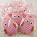 Owl Sugar Cookie Favors - Any Color (4 Dozen Favors, gift bagged and bowed)