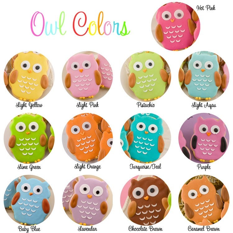 Owl Cookie Favors - 3 Dozen Decorated Sugar Cookies