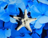 Beach Wedding Starfish Lapel Pin - Simple Crystal Star - Starfish Boutonniere or Corsage