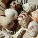 Starfish Seashell Hairpins - Mermaid's Bridal Treasure