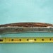 Large Half Antler Dog Chew -Sized for Dogs 45-80 lbs.