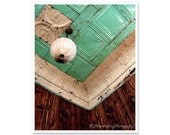 Teal Tin Vintage Ceiling Photograph / retro mid-century / 8x10 Photo / art deco abstract / funky / teal blue surreal rustic brown