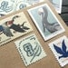 Grey Feathers II ..  UNused Vintage Postage Stamps  .. post 5 letters