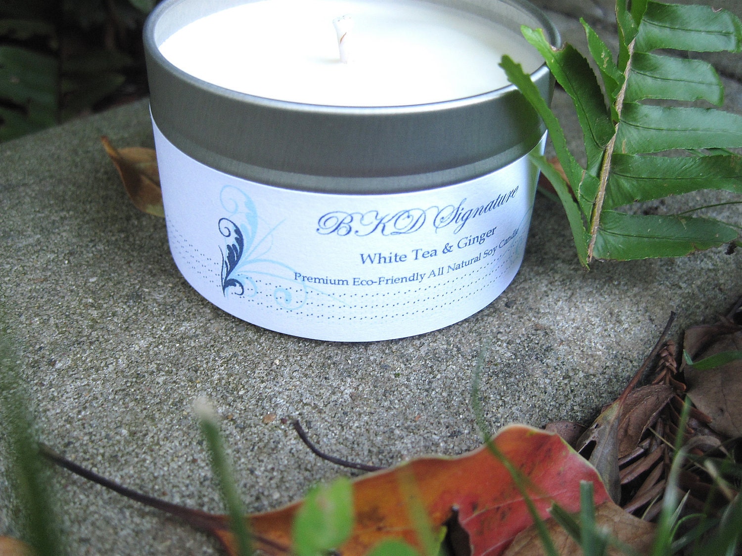 White Tea and Ginger Pure Natural Vegan 4 oz Travel Tin Aromatherapy Soy Candle