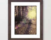 Wild Light - Fine Art Photography Print - Framed 10 x 12