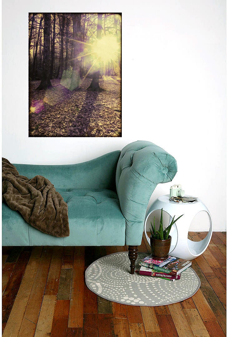 Wild Light - Fine Art Photograph - 5 foot wall print