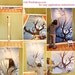 Tiny Forest - Fine Art Photograph - 5 foot wall print