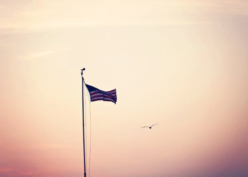 Spring Summer American Flag 4th of July Fourth bird flying minimal pink white purple red stripes blue patriotic - Fine Art Photography Prin
