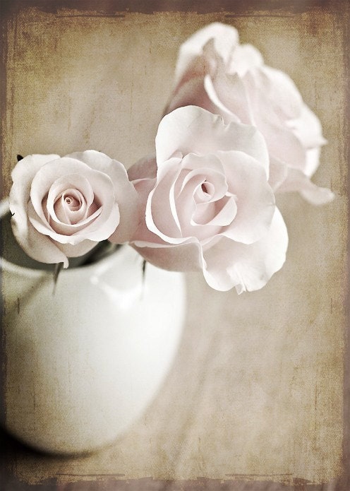 Pink shabby chic winter romantic women faded pale 3 three soft white tan love texture flowers roses photograph - Fine Art Photography Print