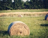 35% off SALE Fathers Day Hay bales harvest autumn fall farm under 50 teamt gold golden Tan Brown green men dude - Fine Art Photography Print