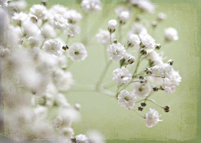 Spring wedding White winter romantic for her women snow frost cream mint small flowers mini green texture - Fine Art Photography Print