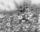 Black and White Digital Art Print Flower Garden Landscape