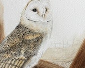 Barn Owl - original watercolour painting
