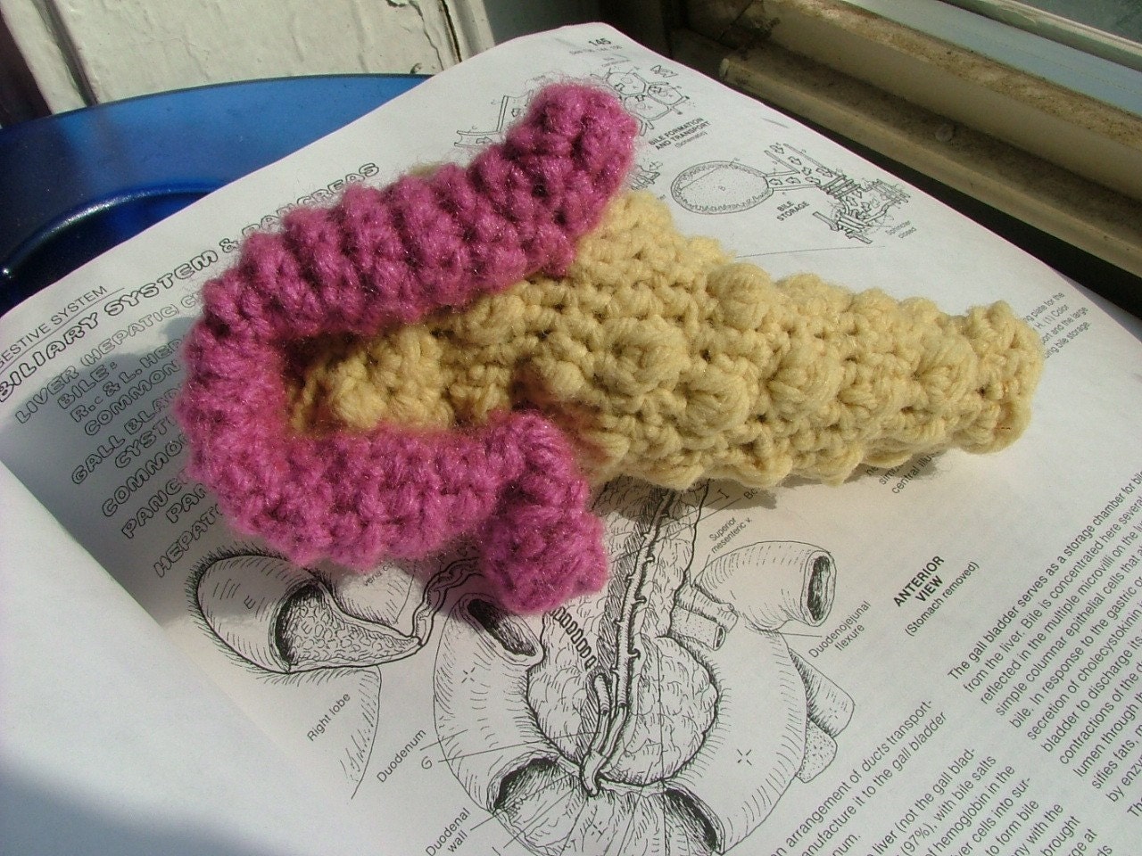Pattern, Crochet Pancreas Plush