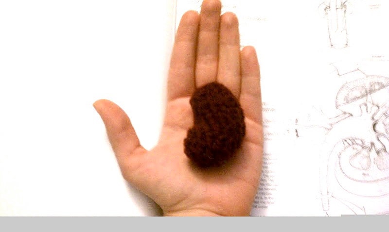 Pattern, Kidney Crochet Plush