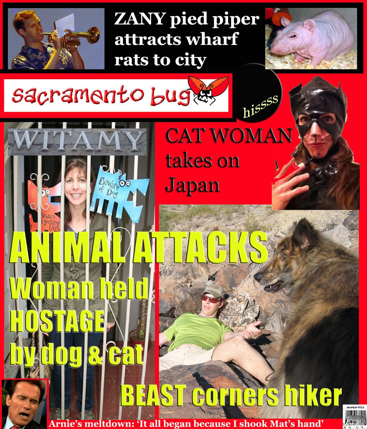 Custom Tabloid Covers: Best Gift for Family and Friends
