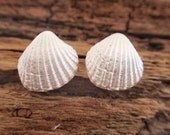 seashell earrings - sterling silver stud earrings - handmade - post earrings -