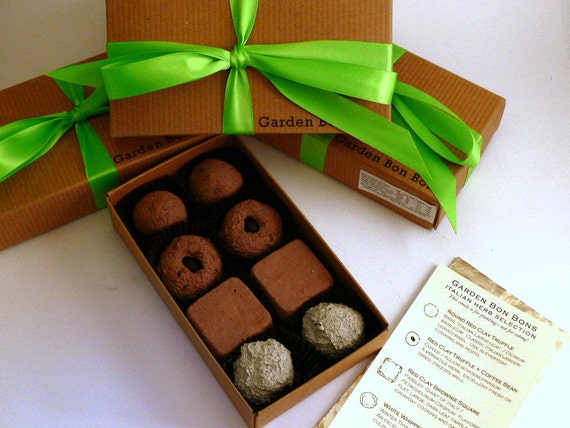 Seed Bombs for lovers - Italian Herbs Garden Bon Bons