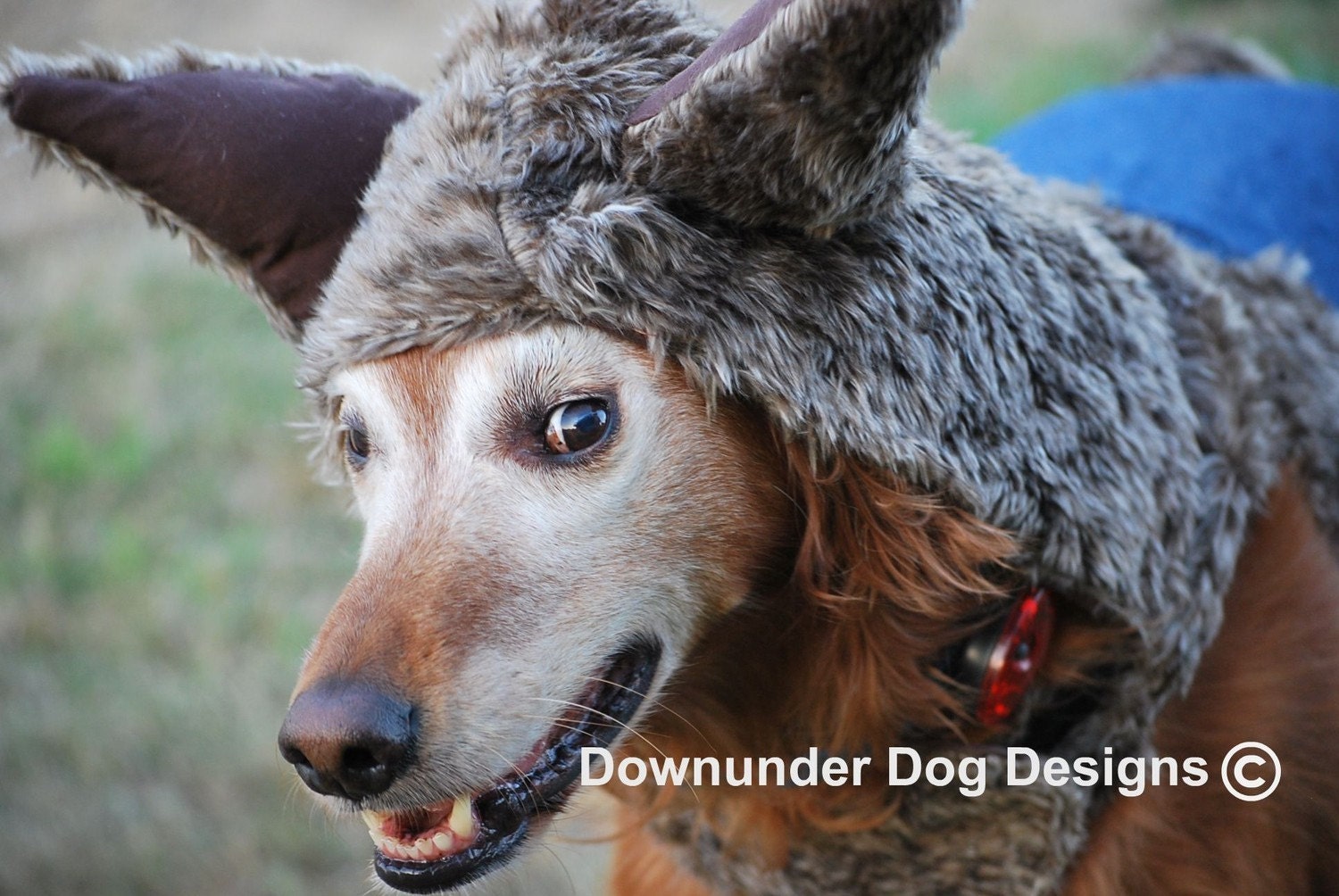 Big Bad Wolf Costume custom sizes As Featured onPeoplepets.com  xlarge and above ONLY   4 Left