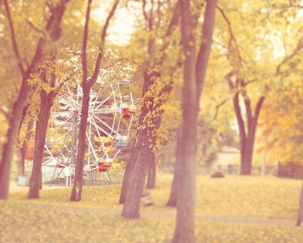 Ferris wheel photograph, ride, amusement, liberty park, orange, yellow, trees, forest, fall, autumn, childrens, fine art photograph 5"x7"