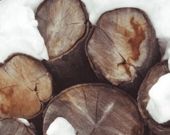 Christmas, winter decor, snow white, tan, brown, yule log, cabin fever, home, season, holiday decor, fine art photograph 5"x5"