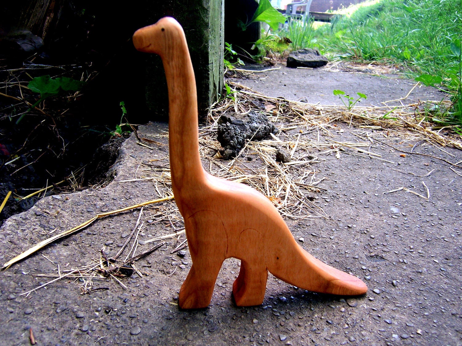 Brachiosaurus