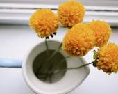 As sold online at Anthropologie May 2013 - Pomdelions set of 5.  Home decor, dorm room, centerpiece, table decor, wedding.