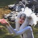 Snow Enchantress