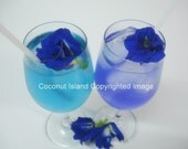 500 Dried Organic Butterfly Pea Flowers