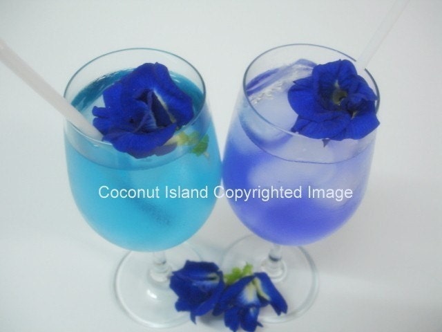 1000 Dried Organic Butterfly Pea Flowers
