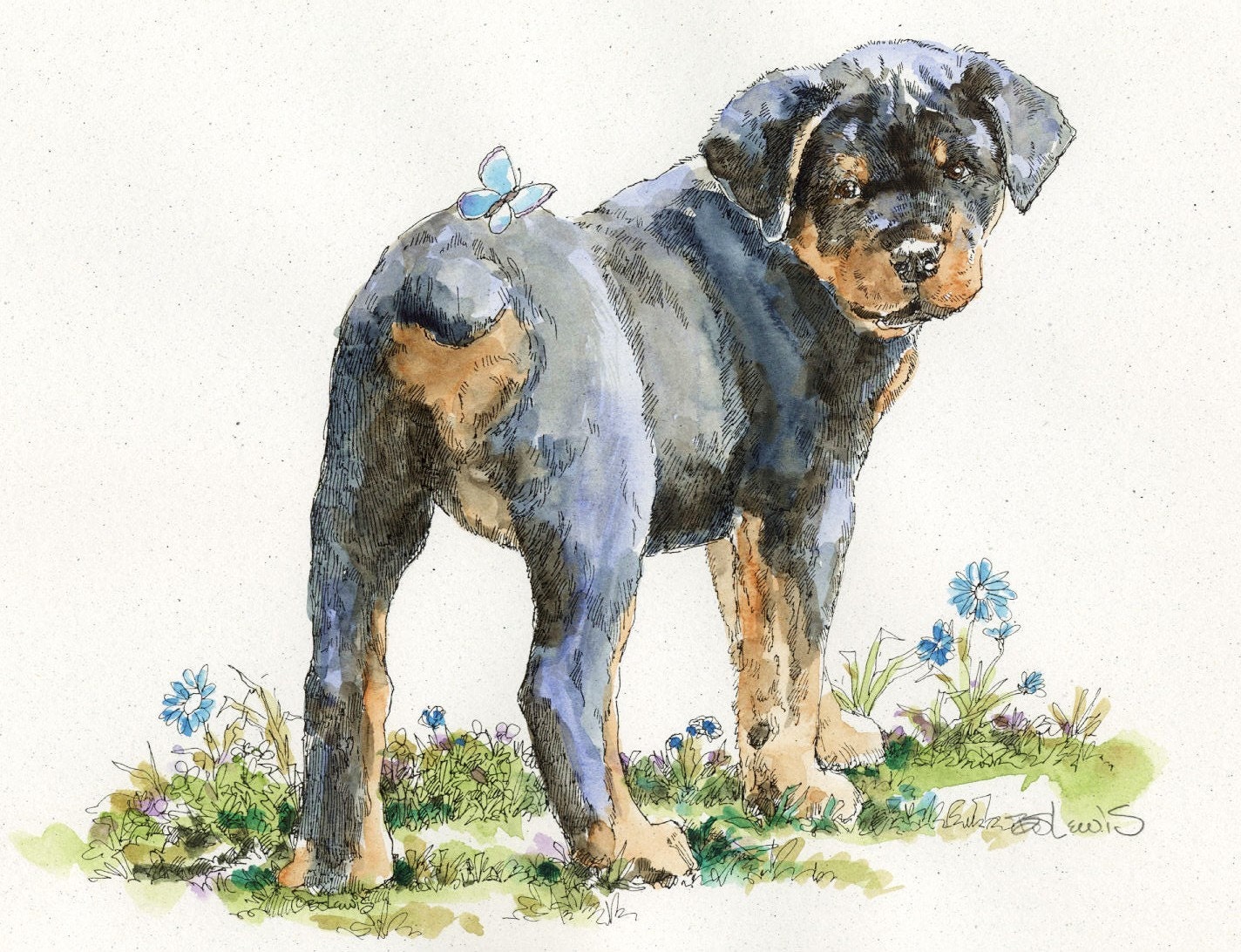 ROTTWEILER BUTTERFLY Original Watercolor on Ink Print Matted 11x14 Ready to Frame