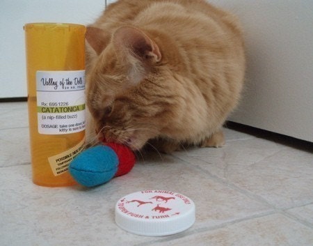 Catatonica - pill shaped cat nip toy