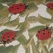 LADYBUG AND RED CHECK PILLOW 20X20